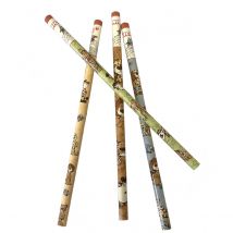 4 Crayons Gris Nici Les Aventures Des Amis Sauvages