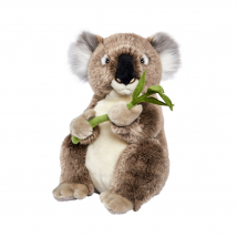 Peluche Koala 30 Cm - Anima