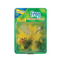 Figurines Métamorphose Grenouille - Insectlore