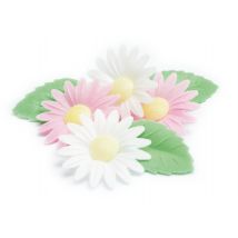 6 Marguerites + 6 Feuilles Vertes Azyme (blister) - Scrapcooking