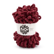 Pingo Cool - Pingouin