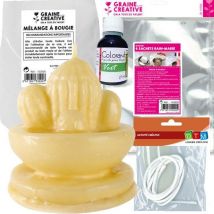 Kit De Fabrication Bougies Cactus - Graine Creative