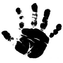 Tampon En Bois Main Droite De Bébé - Posca