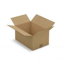 5 Cartons D'Emballage 40 X 27 X 20 Cm - Simple Cannelure - Raja
