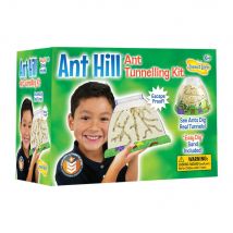 Habitat D'Observation Pour Fourmis - Insectlore