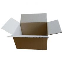 Petit Carton D'Emballage 16 X 12 X 11 Cm - Raja