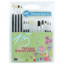 15 Pinceaux Et Brosses Peinture Et Loisirs - Ctop