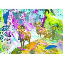 Puzzle 1000 Pièces - Big Horns - Heye