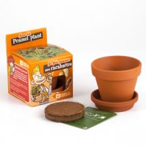Je Fais Pousser Mes Cacahuètes - Radis et Capucine