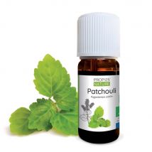 Patchouli Bio - Huile Essentielle - Propos'Nature