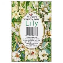 24 Mini Papiers Fantaisis Image 7 X 10,8 Cm Decorer Lily - Decorer
