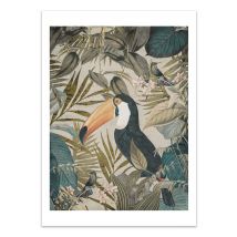 Affiche 30 X 40 Cm - Jungle Toucan - Andrea Haase - Wall Editions