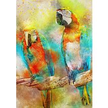 Puzzle 1000 Pièces - Parrots - Bluebird Puzzle