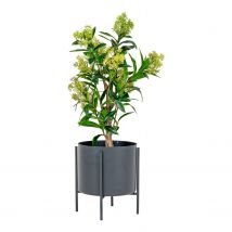 Arbre De Skimmia Artificiel 75 Cm - Youdoit