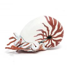 Figurine Nautile - Papo