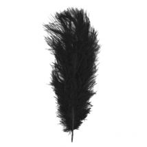 Plume D'Autruche, 30 Cm, 1 Pce, Noir - Rayher