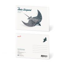 Carte Postale Raie Leopard - No Name