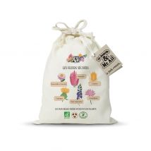 Kit De Jardinage - Les Fleurs Séchées - Dr. Jonquille & Mr. Ail