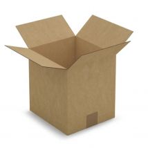 Carton D'Emballage 23 X 21 X 24 Cm - Simple Cannelure - Raja