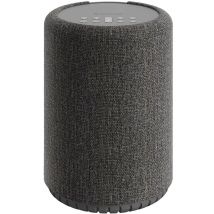 Audio Pro A10 Mkii Gris Foncé