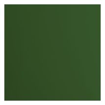 Papier Cartonné Florence - Lisse - 20 Feuilles - Pine - 30,5 X 30,5 Cm - 216 G/m² Scrapbooking