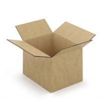 5 Cartons D'Emballage 31 X 22 X 20 Cm - Double Cannelure - Raja