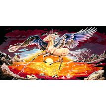 Canevas Seg Pegase 65 X 120 Cm