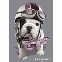 Puzzle Chien Teo Jasmin 1000 Pieces - Collection Photo D'Art - Nathan - 87551 - Nathan