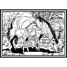 Tableau Velours A Colorier Jument Blanche Et Poulain Sericolor