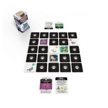 Chats De Poche - Jeu De Cartes - Blackrock Games