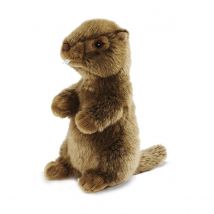- Peluche Marmotte 18cmh