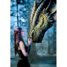 Puzzle Il Etait Une Fois 1000 Pieces - Collection Dragon - Educa - 17099 - Educa