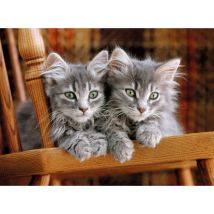 Puzzle 2 Mignons Chatons Gris 500 Pieces - Collection Animaux - Clementoni - 30545 - Clementoni