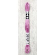 Broder Special 1 Ech 32m - Dmc