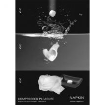 Lingettes Pastilles X 10 - Napkin