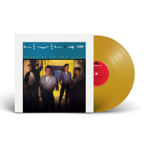 Vinyle Musique Level 42 - Vinyle - 0805520240710 - Or - 0,225 Kg - Next Level Racing