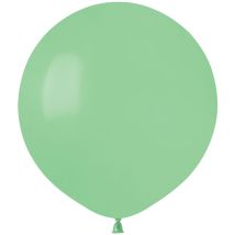 10 Ballons Vert Menthe Mat Ø48cm - Annikids
