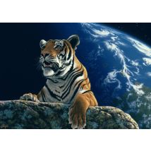Puzzle 1500 Pièces - Schim Schimmel - Only One Home - Grafika