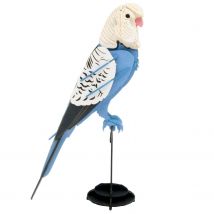 Maquette 3d En Papier Perruche Ondulée - Fridolin