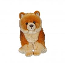 Peluche - Chiens Réalistes Assis - Peluche Loulou De Poméranie - 25 Cm