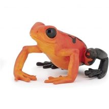 Figurine Grenouille Équatoriale Rouge - Papo