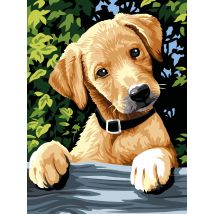 Canevas Seg Canevas Surprise 40x50 Cm