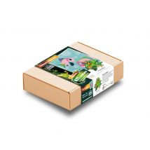 Kit Canevas - Kakapo - Poissons Amoureux