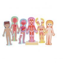 Puzzle Aimante – Assemble Le Corps Humain - Hape - Jaune
