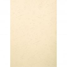 Paquet De 100 Couvertures Grain Cuir Pour Reliure A3 - Ivoire - Papeteries De Clairefontaine
