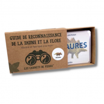 Carnet Les Dinosaures - Les carnets de Pierre