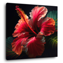 Tableau Sur Toile Hibiscus 30x30 Cm - Ceanothe