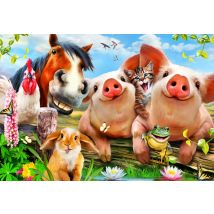 Puzzle 300 Pièces - Petting Farm - Bluebird Puzzle