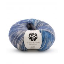 Pingo Boréal - Pingouin