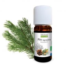 Pin Sylvestre Bio - Huile Essentielle - Propos'Nature